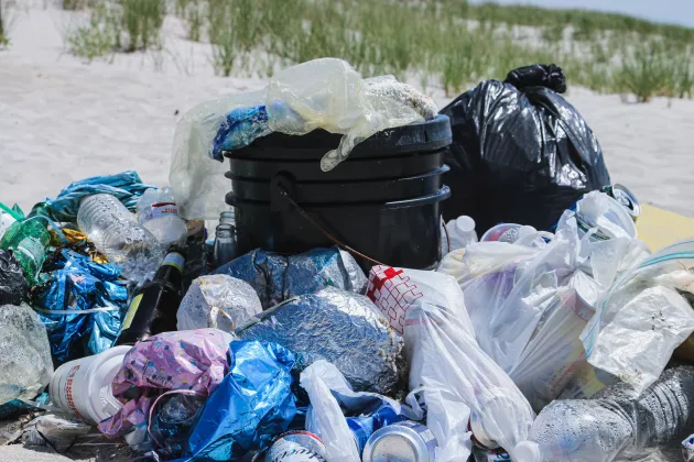 A pile of plastic collected along a small stretch of beach on Long Island, NY. This beach didn't have garbage receptacles, so visitors frequently dump their trash behind with no regards for the local wildlife. If you visit a beach like this, make sure you pack out what you brought in! And use less plastic in the first place.