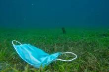 "Mabini is a famous dive destination in the Philippines, but its tourism-dependent population has suffered heavily due to the lockdown that prevented even locals from engaging in water activities. When the lockdown eased, I went beneath the waves again and for the first time encountered a facemask on a bed of seagrass."