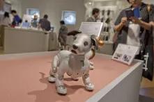 Robot dog