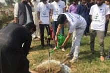 A cleanliness and plantation drive