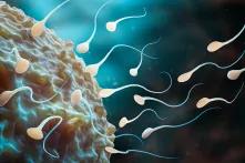 Reframing Reproduction