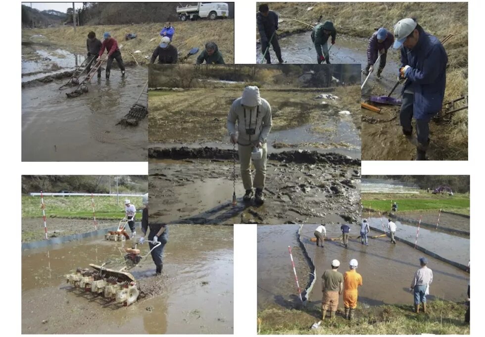 Members of RoF flooded the rice paddy with river water, and swept the surface water containing radioactive cesium into a drainage ditch with a brush. 