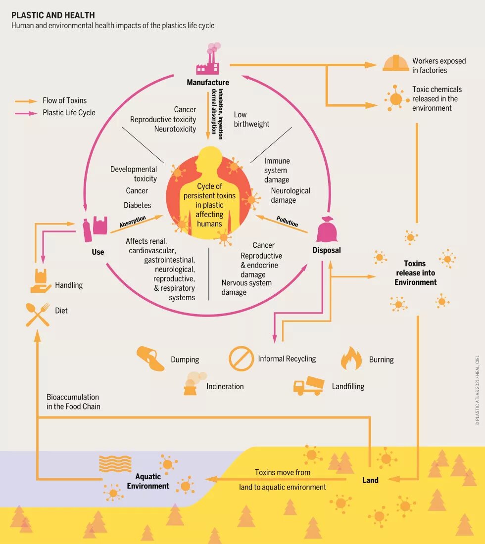 How plastic gets into our system