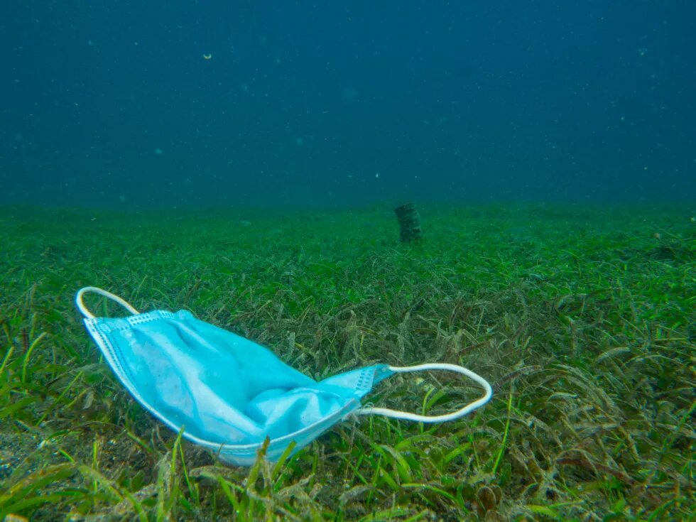 "Mabini is a famous dive destination in the Philippines, but its tourism-dependent population has suffered heavily due to the lockdown that prevented even locals from engaging in water activities. When the lockdown eased, I went beneath the waves again and for the first time encountered a facemask on a bed of seagrass."