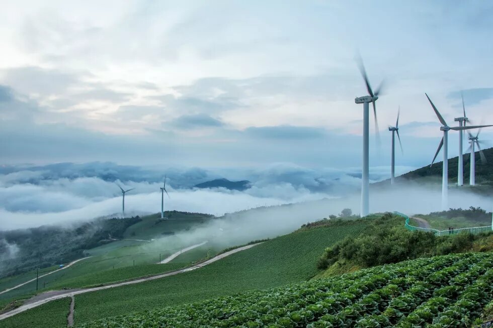 Maebongsan Mt, Taebaek-si, Gangwon-do, Korea - July 30, 2017: Wind power plant turbines are spinning on the cabbage field with sea of cloud